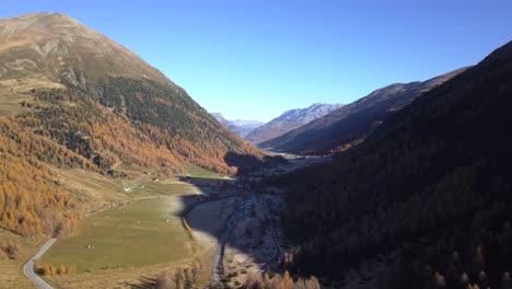aerial: deciduous trees in mountains in italy