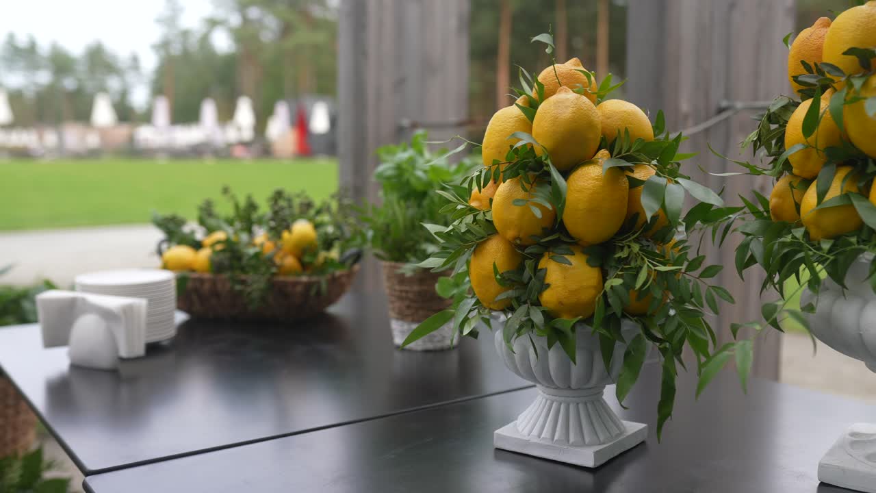 레몬 과일 배열