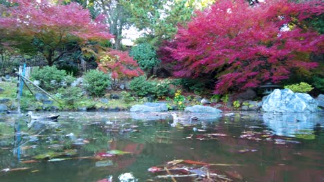 la belleza del parque yokohamashi nogeyama