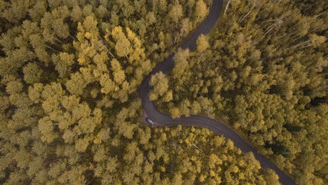 despegue aéreo sobre la carretera de bucle alpino en el cañón entre el bosque de caída amarilla