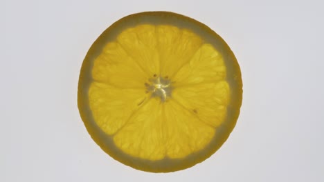 rotation of a thin transparent orange slice. citrus texture.