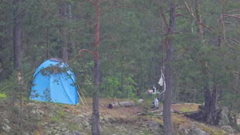 rainy forest camping trip
