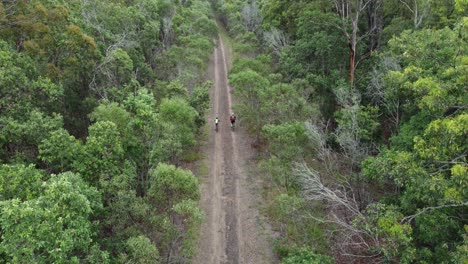 two cyclists riding down rail trail through lush australian forest