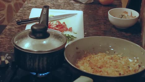 sauteing ingredients in a pan that shows the process of home cooking and the mundane chores of domestic life