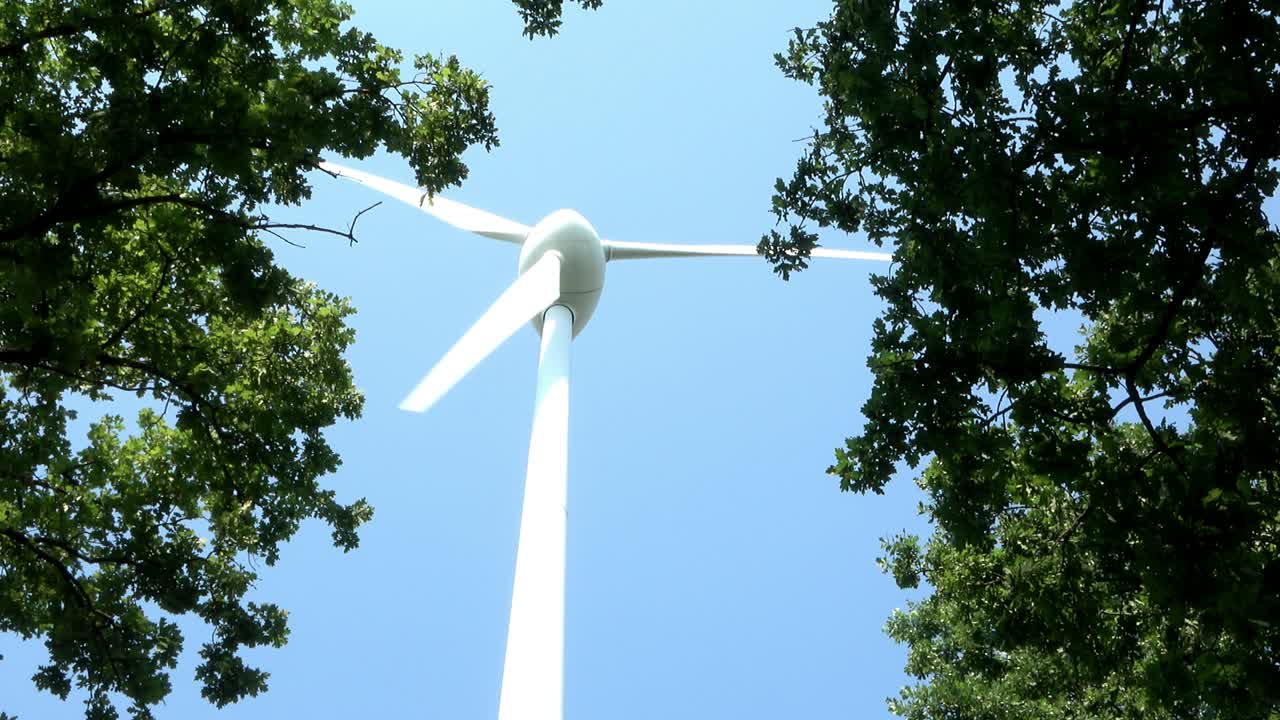 아래에서 두 나무의 가지를 통해 바람에 회전하여 전기 에너지를 생산하는  풍차를 볼 수 있습니다.
