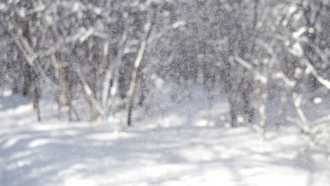 Winterlandschaft-Bei-Schneefall.-Abstrakter-Hintergrund-Für-Winterweihnachten-In-Superzeitlupe.