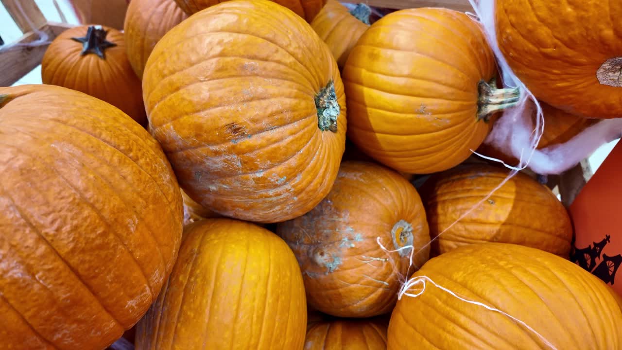 Close-up of orange pumpkins in a wooden crate with fake spider webs and Halloween decorations