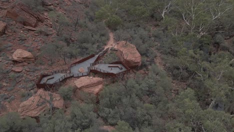 woman waving on viewing platform with densely foliage landscape of kings creek walk at petermann, australia