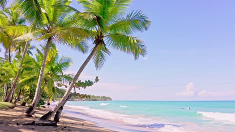 Idílica-Playa-Tropical-De-Arena-Blanca-Y-Palmeras-En-El-Caribe,-Océano-Azul