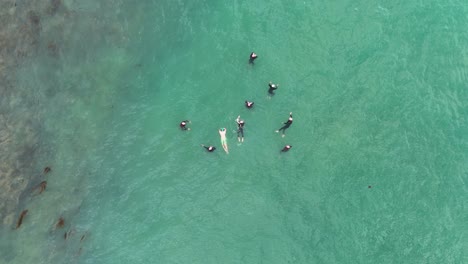 aerial footage captures swimmers practicing in turquoise waters near port campbell, australia. the scene conveys teamwork and dynamic motion
