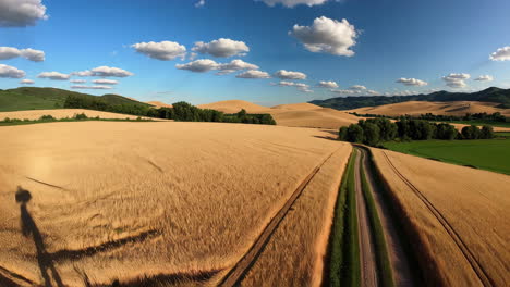 golden wheat fields and country roads