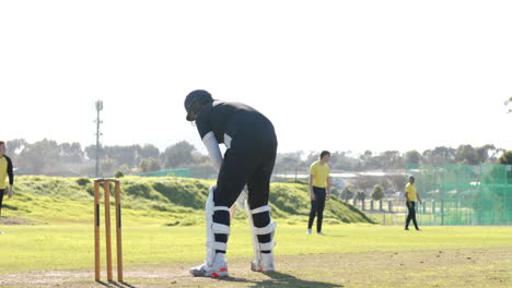 cricket player in action on sunny field, preparing to bat