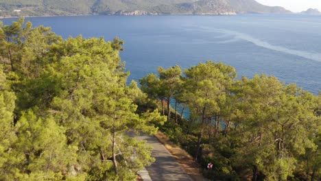 drone track car in turn through lush forest revealing wide open coastal view