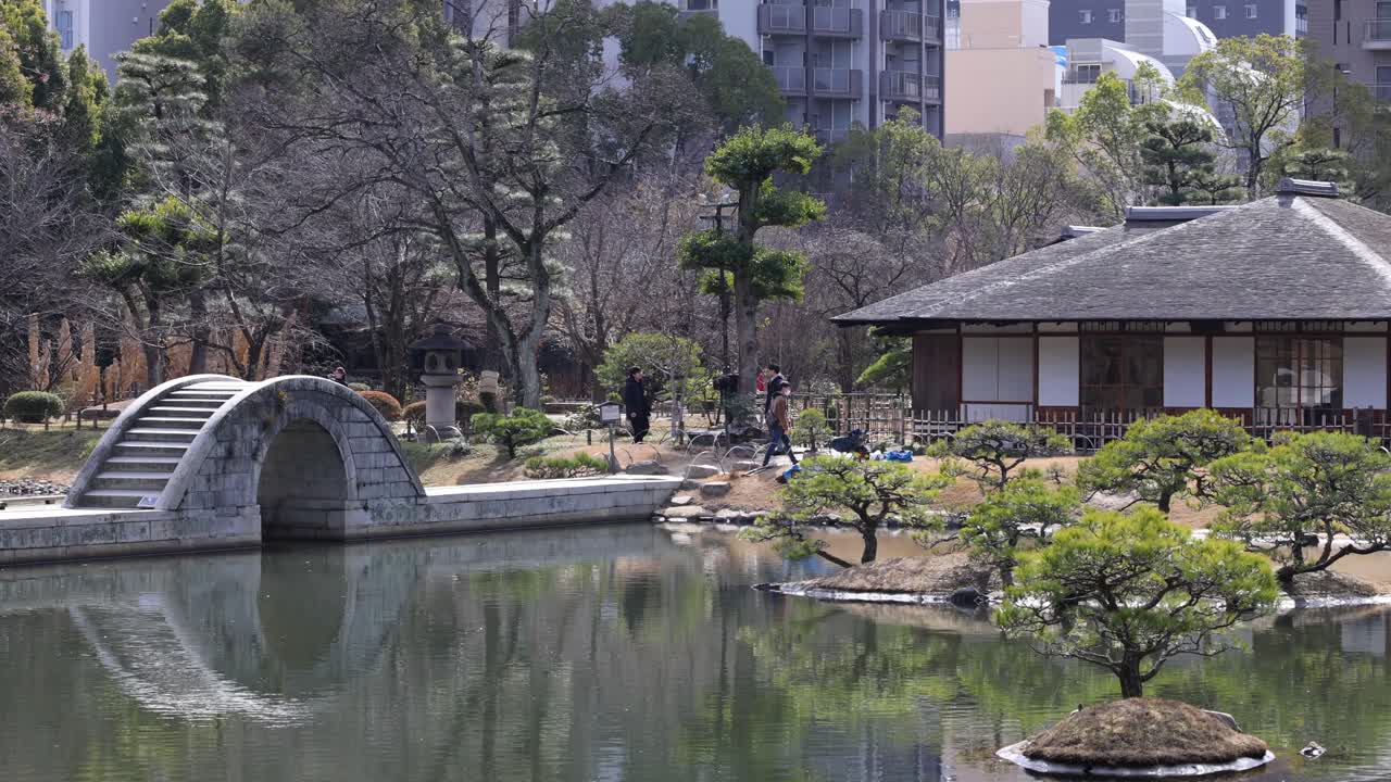 jardín pacífico con estanque y puente arqueado