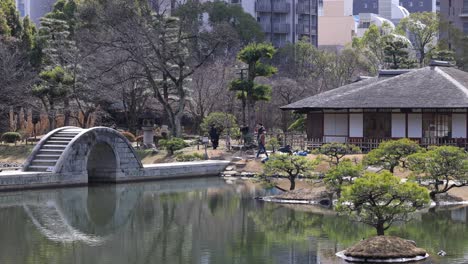 peaceful garden with pond and arched bridge