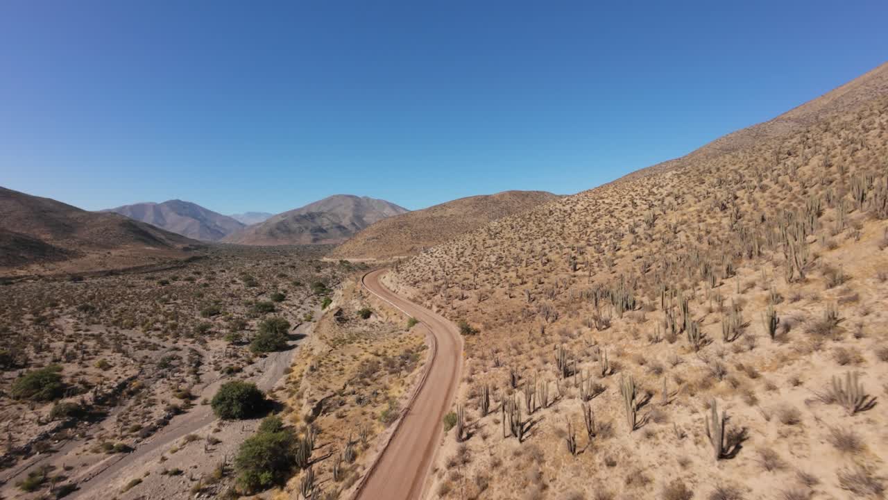 Aerial view of a winding dirt road cutting through cactus-studded desert hills under a vivid blue sky. Ideal for travel, nature, or adventure footage