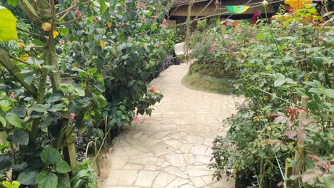 las hermosas flores y camas de hierba de cameron highlands, malasia.