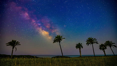 milky way over palm trees and ocean at night