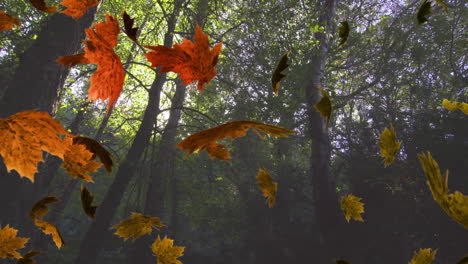 animación de varias hojas que caen sobre los árboles de otoño