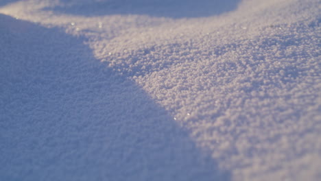 Moviéndose-Sobre-Un-Campo-Cubierto-De-Nieve