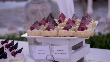 un plato cuadrado lleno de postres de &quot;tarta de manzana&quot;