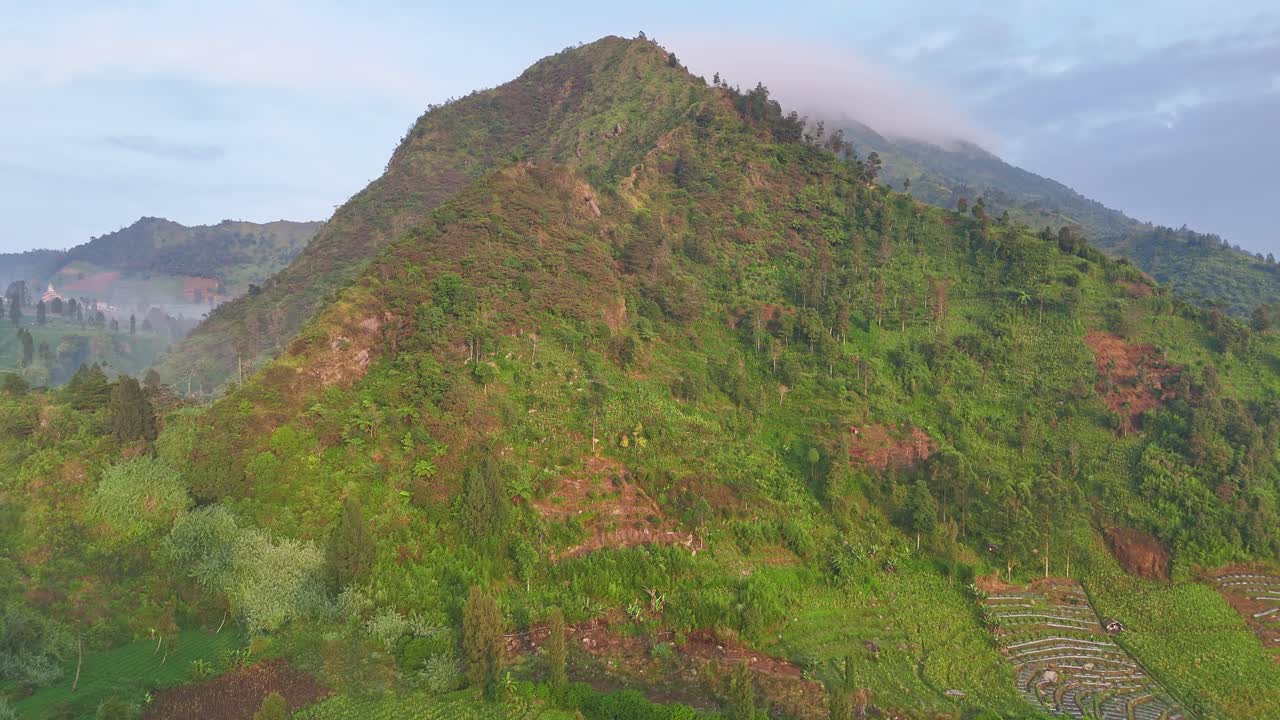 Naturskøn dronevideo af frodige bjergskråninger dækket af tropisk skov, med blid tåge og varmt solopgangslys, der skaber en fredfyldt og naturlig atmosfære
