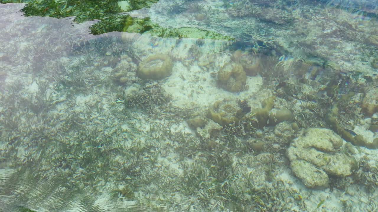 Closeup of shallow water of Coral Triangle from moving boat in Raja Ampat, West Papua Indonesia, with crystal clear ocean water in coral reef environment