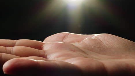 open hand in sunlight