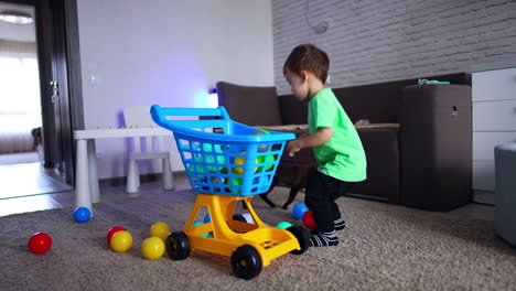 caucasian baby boy picks the balls from the floor and puts them into cart. black cat walks around the toddler.