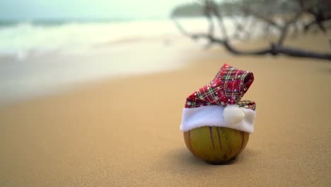 primer plano de coco con gorro de papá noel en una playa de arena tropical con olas del océano rodando contra la costa en un fondo borroso