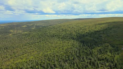 aerial view of green mountains with coniferous trees in summer near salen, sweden