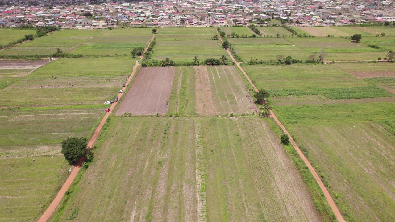 toma aérea de una enorme plantación con cultivos en accra ghana