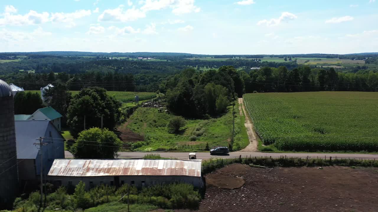 Vista aerea con tracking di un'auto che percorre una strada rurale