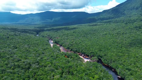 great view of the churun river and its imposing jungle inside auyán-tepui