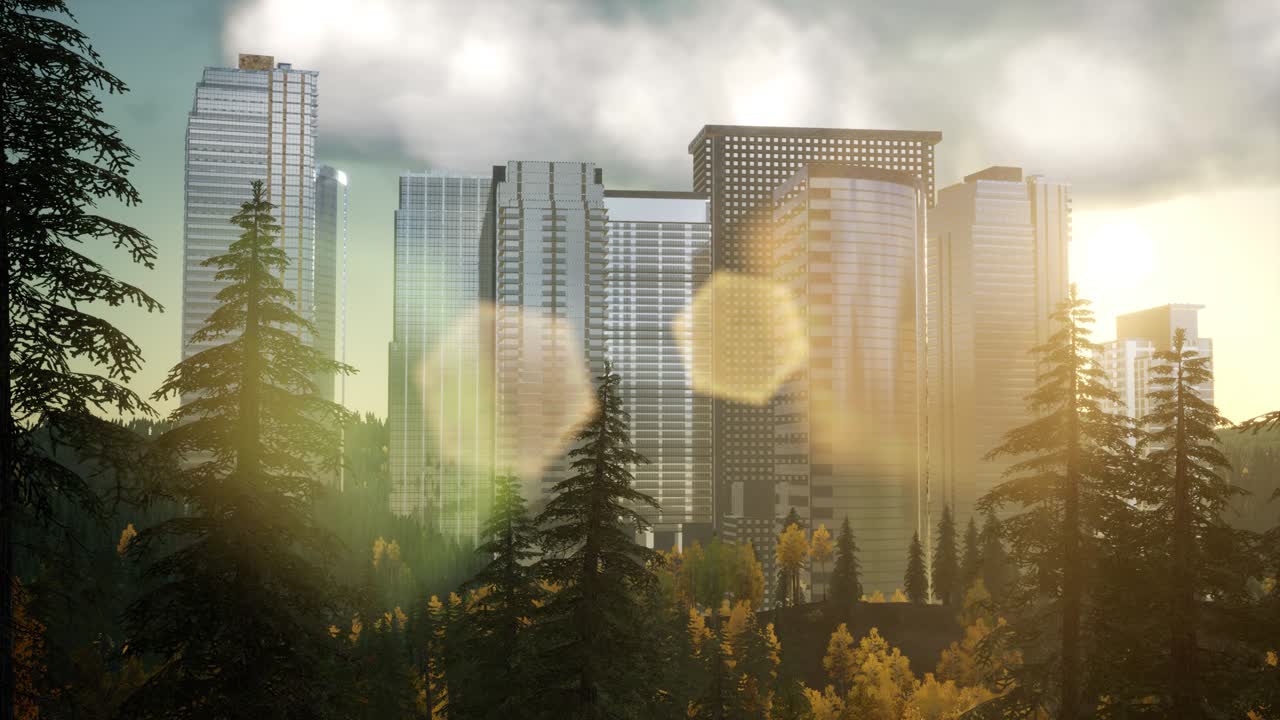 해가 지는 동안의 마천루와 공원 나무