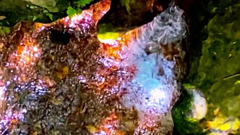 mineral water fountain on the savannas near brasilia, brazil - slow motion