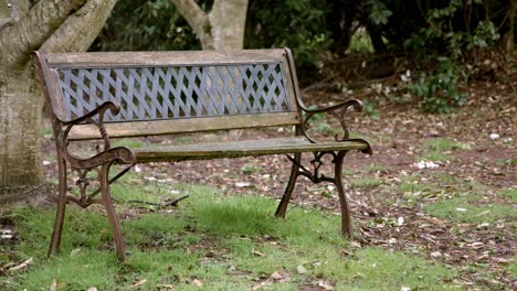 A-wooden-bench-in-the-rain