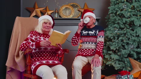 senior grandmother, grandmother enjoying christmas conversation, drinking hot tea, reading book