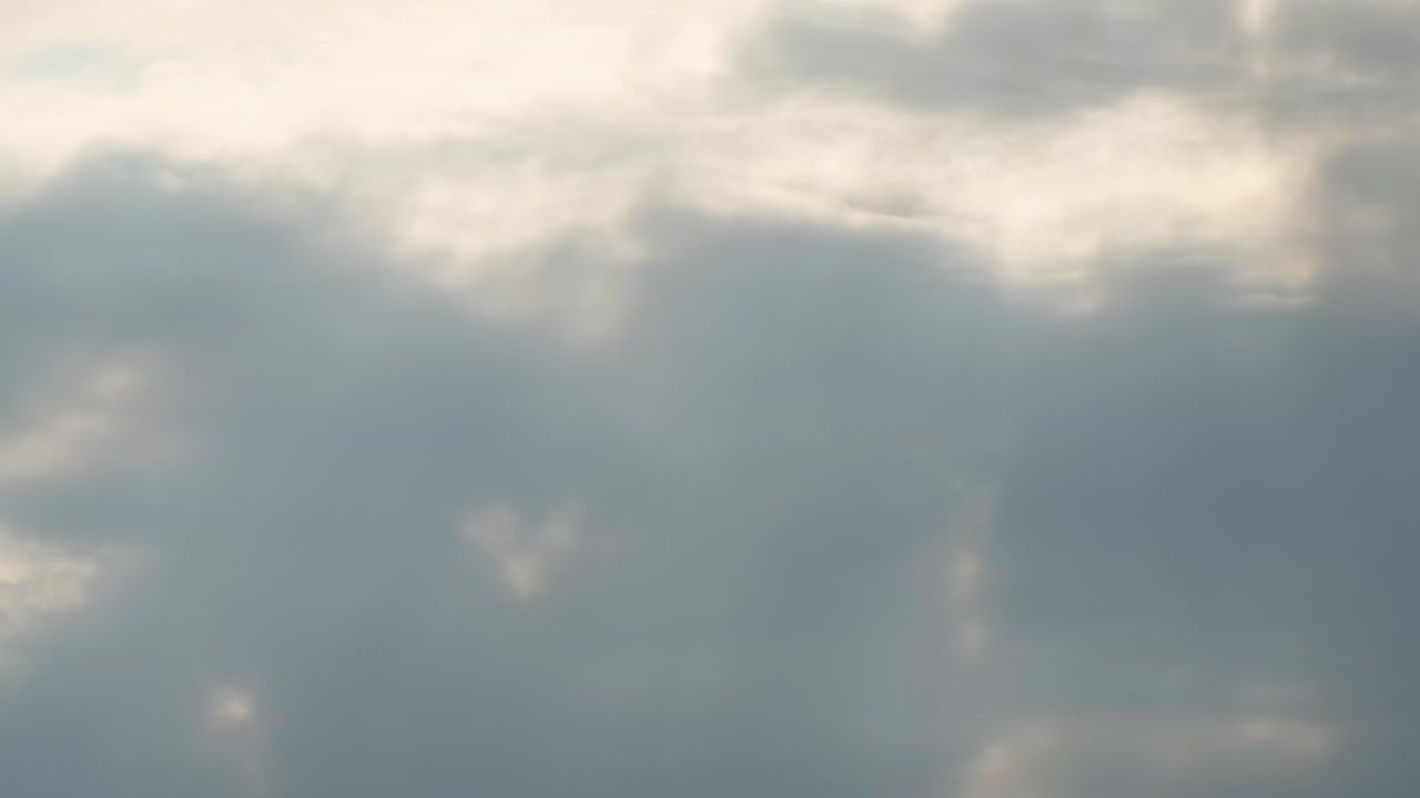 방글라데시 의 태양 광선 배경 에 대해 하늘 에서 날아다니는 독수리 새 의 실루