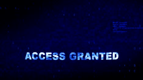 access granted  text digital noise twitch glitch distortion effect error animation.
