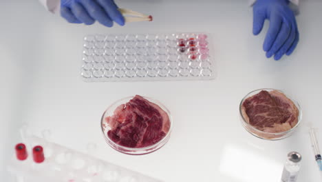comparing cultured and regular meat
