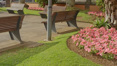 peaceful park with benches, palm and pink flowers nearby iglesia de la concepción