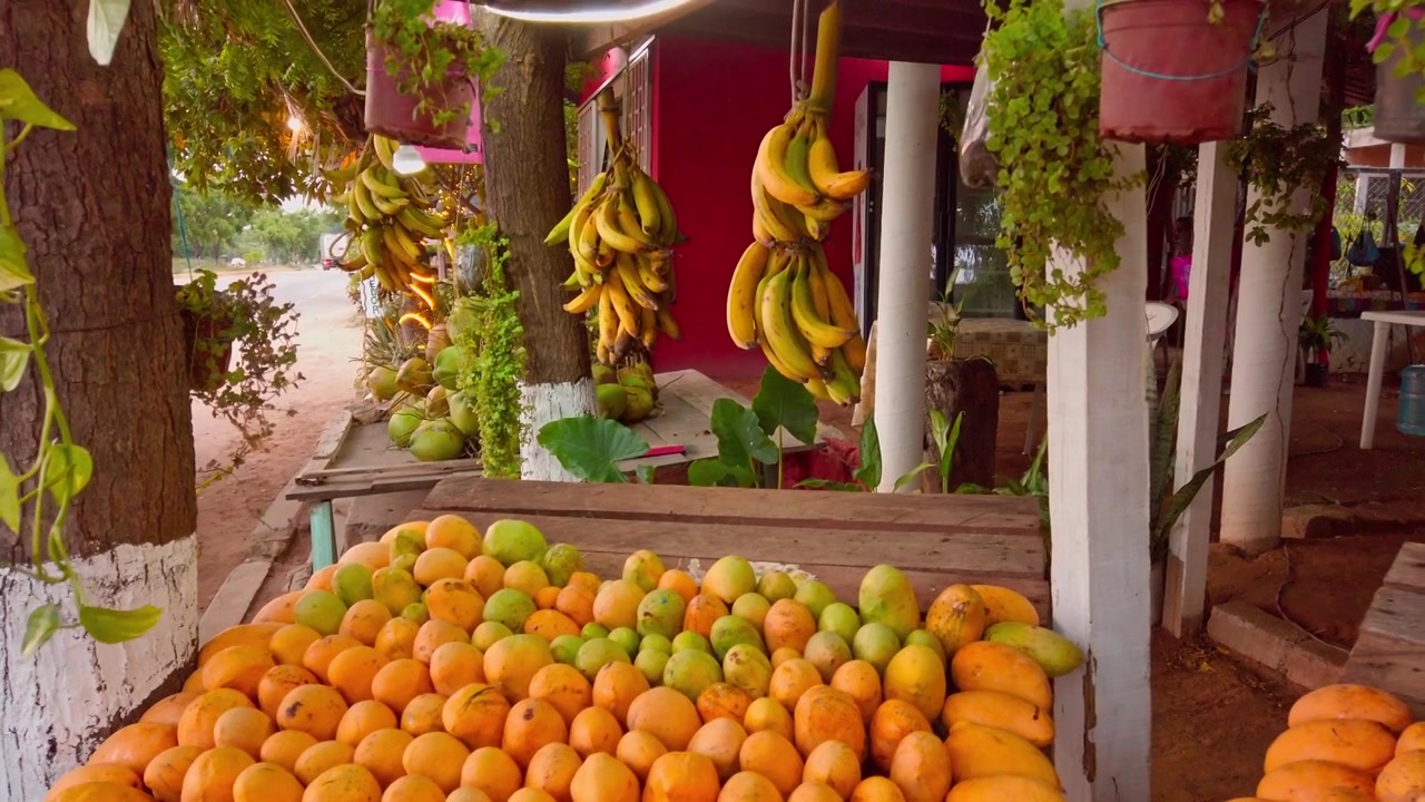 Grande esposizione di manghi maturi e acerbi disposti su una bancarella di frutta in legno, che mostra frutti arancioni e verdi sotto gli alberi in un'area di mercato all'aperto locale a Huatulco, Messico