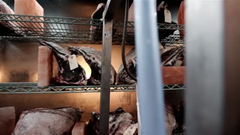 high quality matured beef cuts in a cold store room with salt bricks