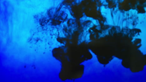pintura o tinte azul caído en agua contra un fondo blanco para crear un fondo de humo de colores giratorios 4