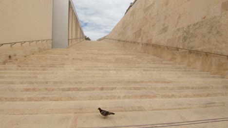 stairs at city gate of valletta, malta