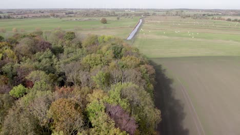 Drohnenaufnahmen-Von-Landstraßen-Und-Bäumen-Mit-Herbstfarben,-Aufgenommen-Am-Ort-Uetz-In-Brandenburg,-Deutschland