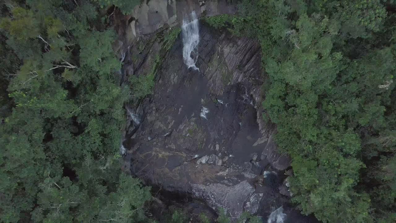 Dynamic drone shot zooming out of Brazilian Amazon at sunset