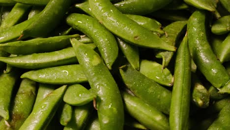 freshly picked green peas perfect for salads stirfries and nutritious snacks freshly picked green peas perfect for salads stirfries and nutritious snacks