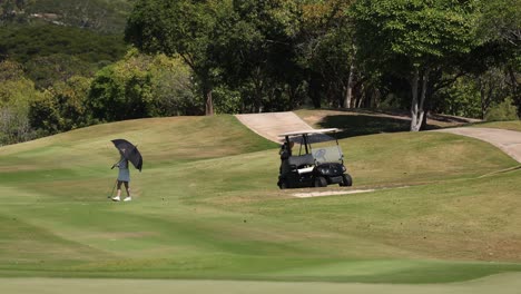 golfista realizando un swing en un día soleado